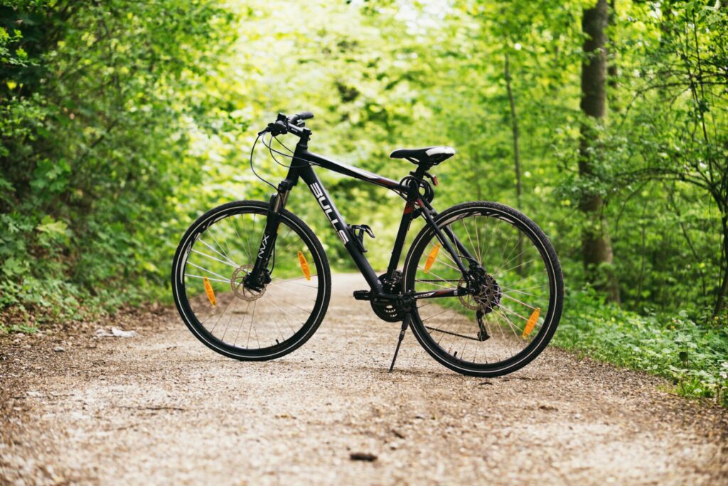 Vélo dans les bois