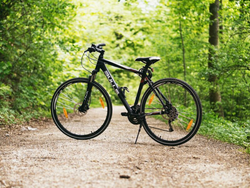 Vélo dans les bois