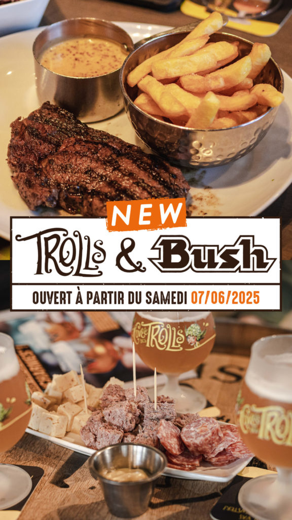 Brasserie Dubuisson